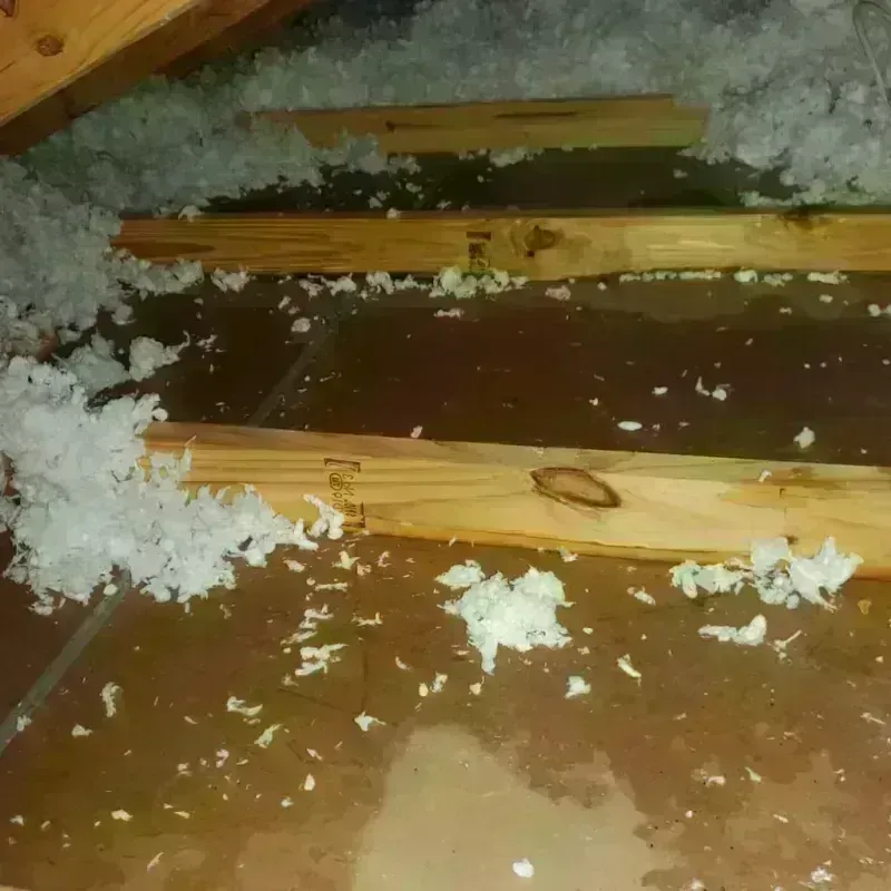 Attic Water Damage in Wortham, TX