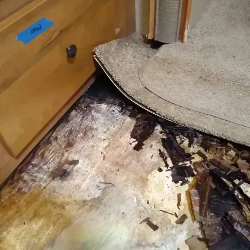 Wood Floor Water Damage in Wortham, TX